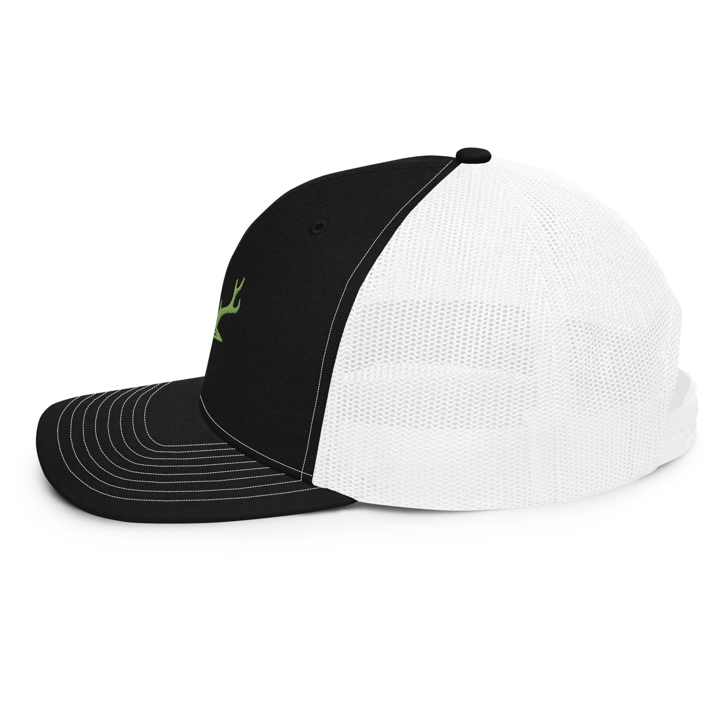 Snap Back Kiwi