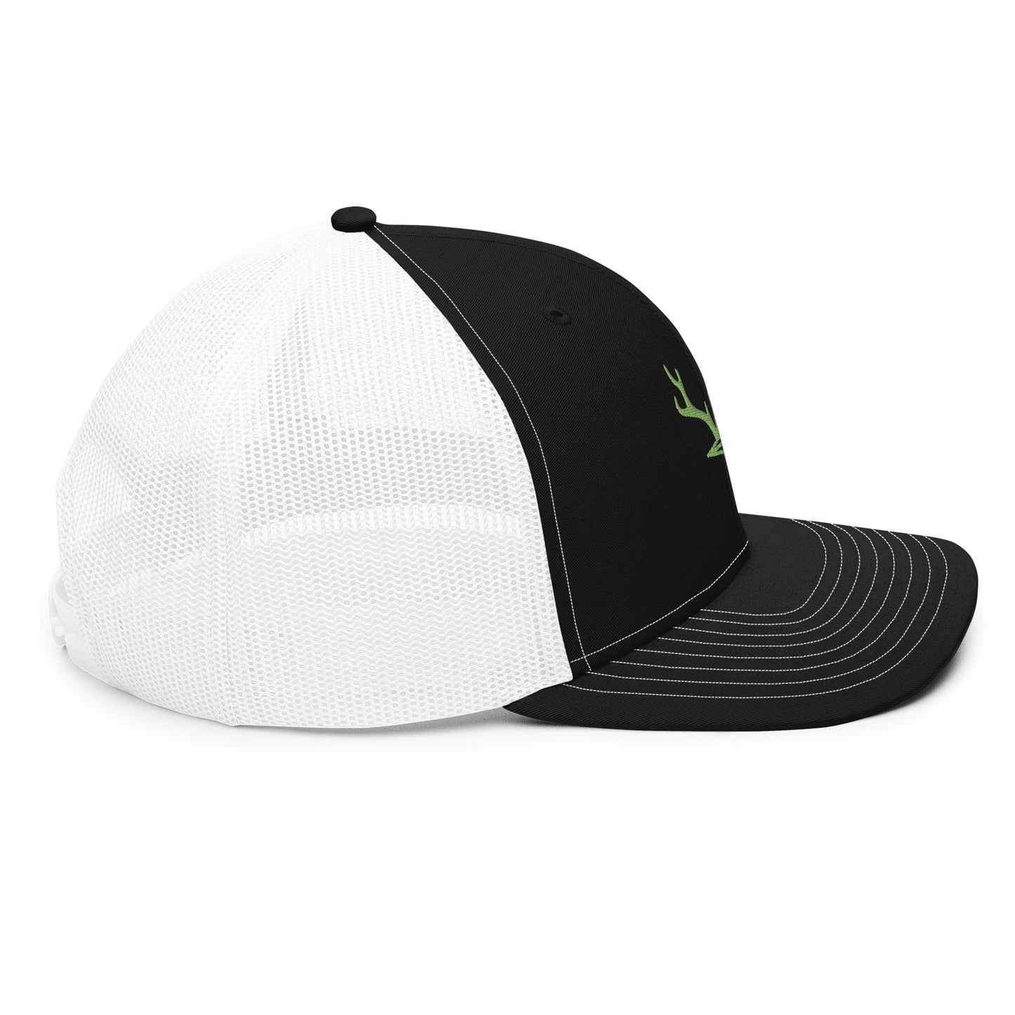 Snap Back Kiwi